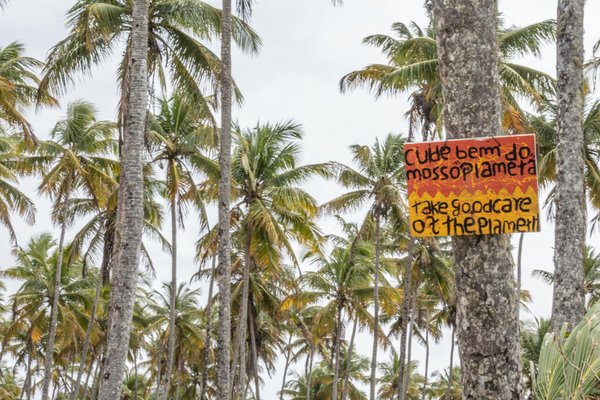 Jus de fruits : bienfaits et recettes pour rester en forme